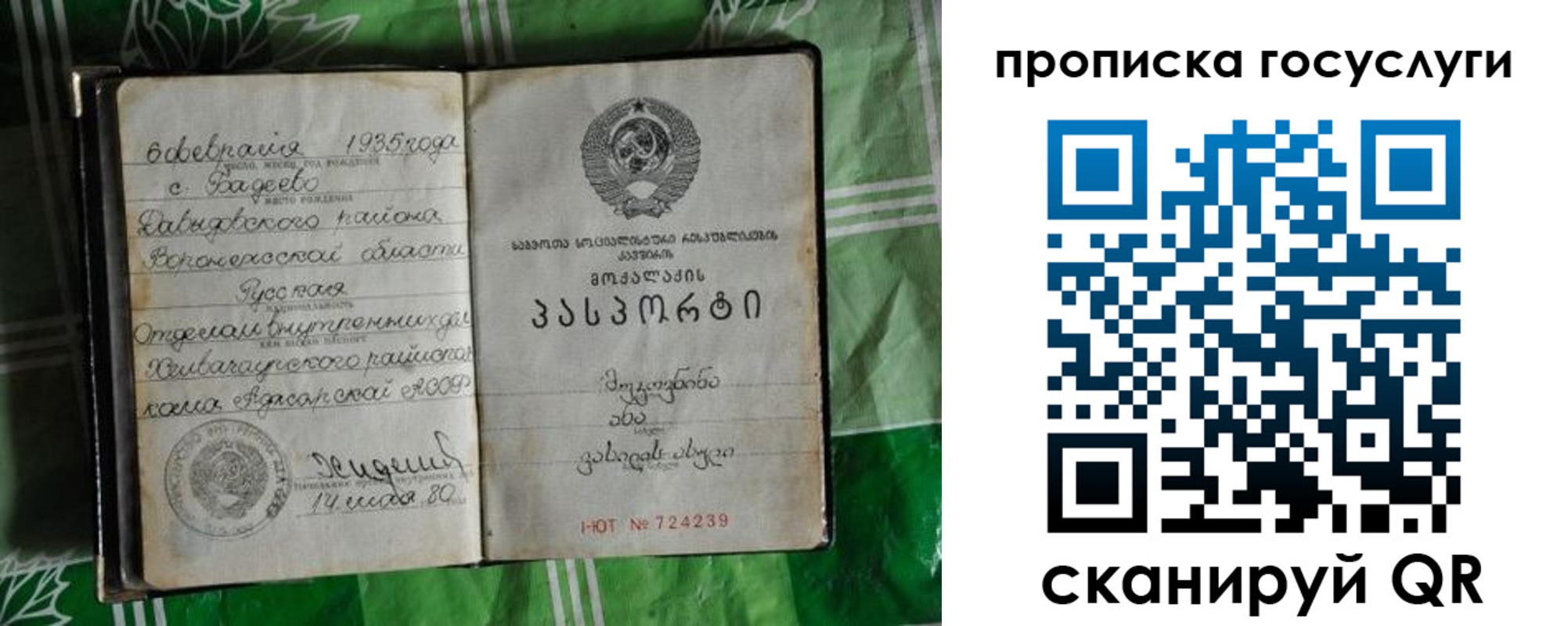 прописка паспорт в Коле